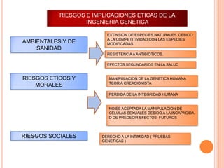 RIESGOS E IMPLICACIONES ETICAS DE LA
                   INGENIERIA GENETICA

                          EXTINSION DE ESPECIES NATURALES DEBIDO
                          A LA COMPETITIVIDAD CON LAS ESPECIES
AMBIENTALES Y DE          MODIFICADAS.
    SANIDAD
                          RESISTENCIA A ANTIBIOTICOS.

                          EFECTOS SEGUNDARIOS EN LA SALUD


RIESGOS ETICOS Y           MANIPULACION DE LA GENETICA HUMANA
                           TEORIA CREACIONISTA
    MORALES
                           PERDIDA DE LA INTEGRIDAD HUMANA


                           NO ES ACEPTADA LA MANIPULACION DE
                           CELULAS SEXUALES DEBIDO A LA INCAPACIDA
                           D DE PREDECIR EFECTOS FUTUROS




RIESGOS SOCIALES        DERECHO A LA INTIMIDAD ( PRUEBAS
                        GENETICAS )
 