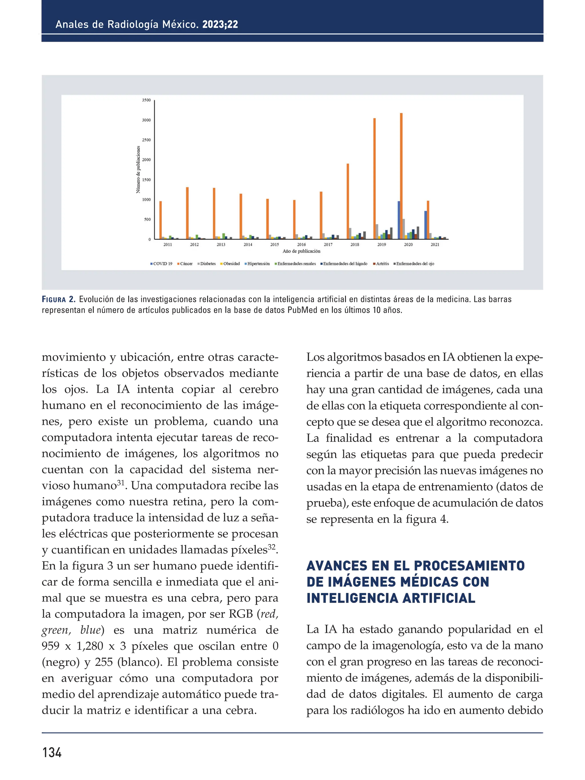 134
Anales de Radiología México. 2023;22
movimiento y ubicación, entre otras caracte-
rísticas de los objetos observados mediante
los ojos. La IA intenta copiar al cerebro
humano en el reconocimiento de las imáge-
nes, pero existe un problema, cuando una
computadora intenta ejecutar tareas de reco-
nocimiento de imágenes, los algoritmos no
cuentan con la capacidad del sistema ner-
vioso humano31
. Una computadora recibe las
imágenes como nuestra retina, pero la com-
putadora traduce la intensidad de luz a seña-
les eléctricas que posteriormente se procesan
y cuantifican en unidades llamadas píxeles32
.
En la figura 3 un ser humano puede identifi-
car de forma sencilla e inmediata que el ani-
mal que se muestra es una cebra, pero para
la computadora la imagen, por ser RGB (red,
green, blue) es una matriz numérica de
959 x 1,280 x 3 píxeles que oscilan entre 0
(negro) y 255 (blanco). El problema consiste
en averiguar cómo una computadora por
medio del aprendizaje automático puede tra-
ducir la matriz e identificar a una cebra.
Los algoritmos basados en IAobtienen la expe-
riencia a partir de una base de datos, en ellas
hay una gran cantidad de imágenes, cada una
de ellas con la etiqueta correspondiente al con-
cepto que se desea que el algoritmo reconozca.
La finalidad es entrenar a la computadora
según las etiquetas para que pueda predecir
con la mayor precisión las nuevas imágenes no
usadas en la etapa de entrenamiento (datos de
prueba), este enfoque de acumulación de datos
se representa en la figura 4.
AVANCES EN EL PROCESAMIENTO
DE IMÁGENES MÉDICAS CON
INTELIGENCIA ARTIFICIAL
La IA ha estado ganando popularidad en el
campo de la imagenología, esto va de la mano
con el gran progreso en las tareas de reconoci-
miento de imágenes, además de la disponibili-
dad de datos digitales. El aumento de carga
para los radiólogos ha ido en aumento debido
Figura 2. Evolución de las investigaciones relacionadas con la inteligencia artificial en distintas áreas de la medicina. Las barras
representan el número de artículos publicados en la base de datos PubMed en los últimos 10 años.
 