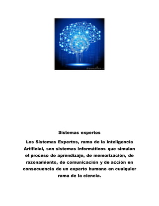 Sistemas expertos
Los Sistemas Expertos, rama de la Inteligencia
Artificial, son sistemas informáticos que simulan
el proceso de aprendizaje, de memorización, de
razonamiento, de comunicación y de acción en
consecuencia de un experto humano en cualquier
rama de la ciencia.
 