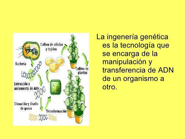 Aplicaciones en agricultura y ganadería