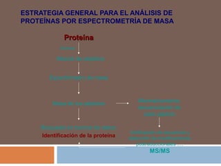Espectrometría de Masa | PPT