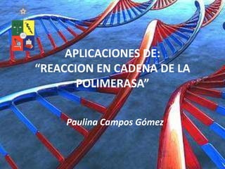 APLICACIONES DE:
“REACCION EN CADENA DE LA
       POLIMERASA”


     Paulina Campos Gómez
 
