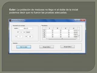 Euler: La población de medusas no llego ni al doble de la inicial
podemos decir que no fueron las pruebas adecuadas.

 