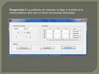 Runge-kutta 4: La población de medusas no llego ni al doble de la
inicial podemos decir que no fueron las pruebas adecuadas.

 