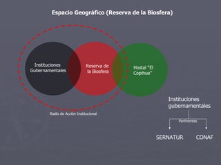 Instituciones gubernamentales SERNATUR CONAF Espacio Geográfico (Reserva de la Biosfera) Pertinentes Reserva de  la Biosfera Instituciones  Gubernamentales Hostal “El Copihue” Radio de Acción Institucional 
