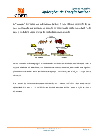 Apostila educativa
                                  Aplicações da Energia Nuclear


A “marcação” de insetos com radioisótopos também é muito útil para eliminação de pra-

gas, identificando qual predador se alimenta de determinado inseto indesejável. Neste

caso o predador é usado em vez de inseticidas nocivos à saúde.




Outra forma de eliminar pragas é esterilizar os respectivos “machos” por radiação gama e

depois soltá-los no ambiente para competirem com os normais, reduzindo sua reprodu-

ção sucessivamente, até a eliminação da praga, sem qualquer poluição com produtos

químicos.



Em defesa da alimentação e do meio ambiente, pode-se, também, determinar se um

agrotóxico fica retido nos alimentos ou quanto vai para o solo, para a água e para a

atmosfera.




                           Comissão Nacional de Energia Nuclear
                                    www.cnen.gov.br                           Página 10
 