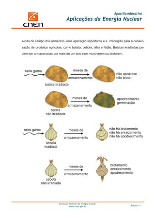 Apostila educativa
                                 Aplicações da Energia Nuclear



Ainda no campo dos alimentos, uma aplicação importante é a irradiação para a conser-

vação de produtos agrícolas, como batata, cebola, alho e feijão. Batatas irradiadas po-

dem ser armazenadas por mais de um ano sem murcharem ou brotarem.




                          Comissão Nacional de Energia Nuclear
                                   www.cnen.gov.br                           Página 11
 