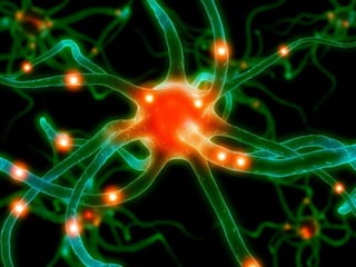Aplicações da biotecnologia