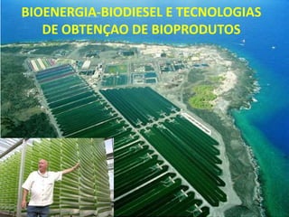 BIOENERGIA-BIODIESEL E TECNOLOGIAS
   DE OBTENÇAO DE BIOPRODUTOS
 