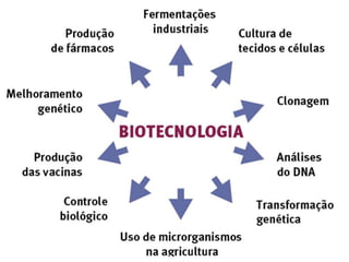 Aplicações da biotecnologia