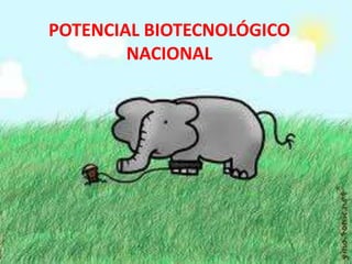 POTENCIAL BIOTECNOLÓGICO
        NACIONAL
 