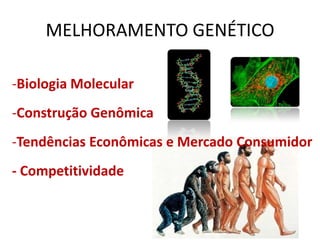 MELHORAMENTO GENÉTICO

-Biologia Molecular
-Construção Genômica
-Tendências Econômicas e Mercado Consumidor
- Competitividade
 