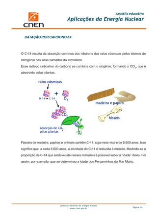 Apostila educativa
Aplicações da Energia Nuclear
Comissão Nacional de Energia Nuclear
www.cnen.gov.br Página 14
DATAÇÃO POR CARBONO-14
Fósseis de madeira, papiros e animais contêm C-14, cuja meia-vida é de 5.600 anos. Isso
significa que, a cada 5.600 anos, a atividade do C-14 é reduzida à metade. Medindo-se a
proporção de C-14 que ainda existe nesses materiais é possível saber a “idade” deles. Foi
assim, por exemplo, que se determinou a idade dos Pergaminhos do Mar Morto.
O C-14 resulta da absorção contínua dos nêutrons dos raios cósmicos pelos átomos de
nitrogênio nas altas camadas da atmosfera.
Esse isótopo radioativo do carbono se combina com o oxigênio, formando o CO2
, que é
absorvido pelas plantas.
 