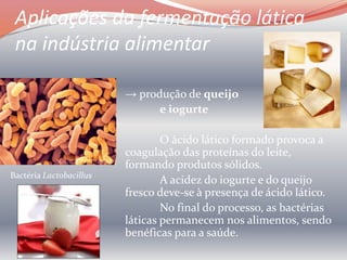 Aplicações da fermentação na indústria alimentar | PPTX