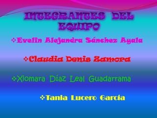 Evelin Alejandra Sánchez Ayala

  Claudia Denis Zamora

Xiomara Díaz Leal Guadarrama

      Tania Lucero García
 