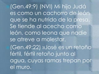 (Gen.49:9) (NVI) Mi hijo Judá es como un cachorro de león que se ha nutrido de la presa. Se tiende al acecho como león, como leona que nadie se atreve a molestar.                                                                                                                                             (Gen.49:22) »José es un retoño fértil, fértil retoño junto al agua, cuyas ramas trepan por el muro.