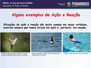 FÍSICA, 1º Ano do Ensino Médio
Aplicação da Ação e Reação
Alguns exemplos de Ação e Reação
Situações de ação e reação são muito comuns em nosso cotidiano,
ocorrem sempre que temos forças em ação e, portanto, em reação.
Imagem: HuzzarTexas Hummingbird / Creative
Commons Attribution-Share Alike 3.0 Unported
Imagem: Danielle / Creative Commons Attribution-
Share Alike 3.0 Unported
Imagem: Adrian Pingstone / Domínio Público
 