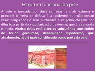 Estrutura funcional da pele
A pele é formada por duas camadas: a mais externa e
principal barreira de defesa é a epiderme que não possui
vasos sanguíneos e seus nutrientes e oxigênio chegam por
difusão a partir da vascularização da derme, que é a segunda
camada. Abaixo delas está o tecido subcutâneo constituído
de tecido gorduroso, denominado hipoderme, que
atualmente, não é mais considerado como parte da pele.
 