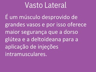 É um músculo desprovido de
grandes vasos e por isso oferece
maior segurança que a dorso
glútea e a deltoideana para a
aplicação de injeções
intramusculares.
Vasto Lateral
 