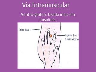 Ventro-glútea: Usada mais em
hospitais.
Via Intramuscular
 