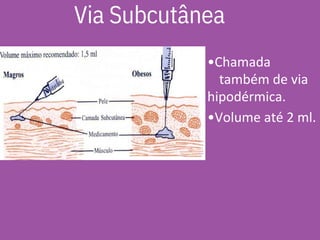 •Chamada
também de via
hipodérmica.
•Volume até 2 ml.
Via Subcutânea
 