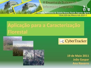 Aplicação para a Caracterização
Florestal
Aplicação para a Caracterização
Florestal
19 de Maio 2011
João Gaspar
Ana Navarro
 