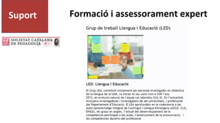 Suport Formació i assessorament expert
 