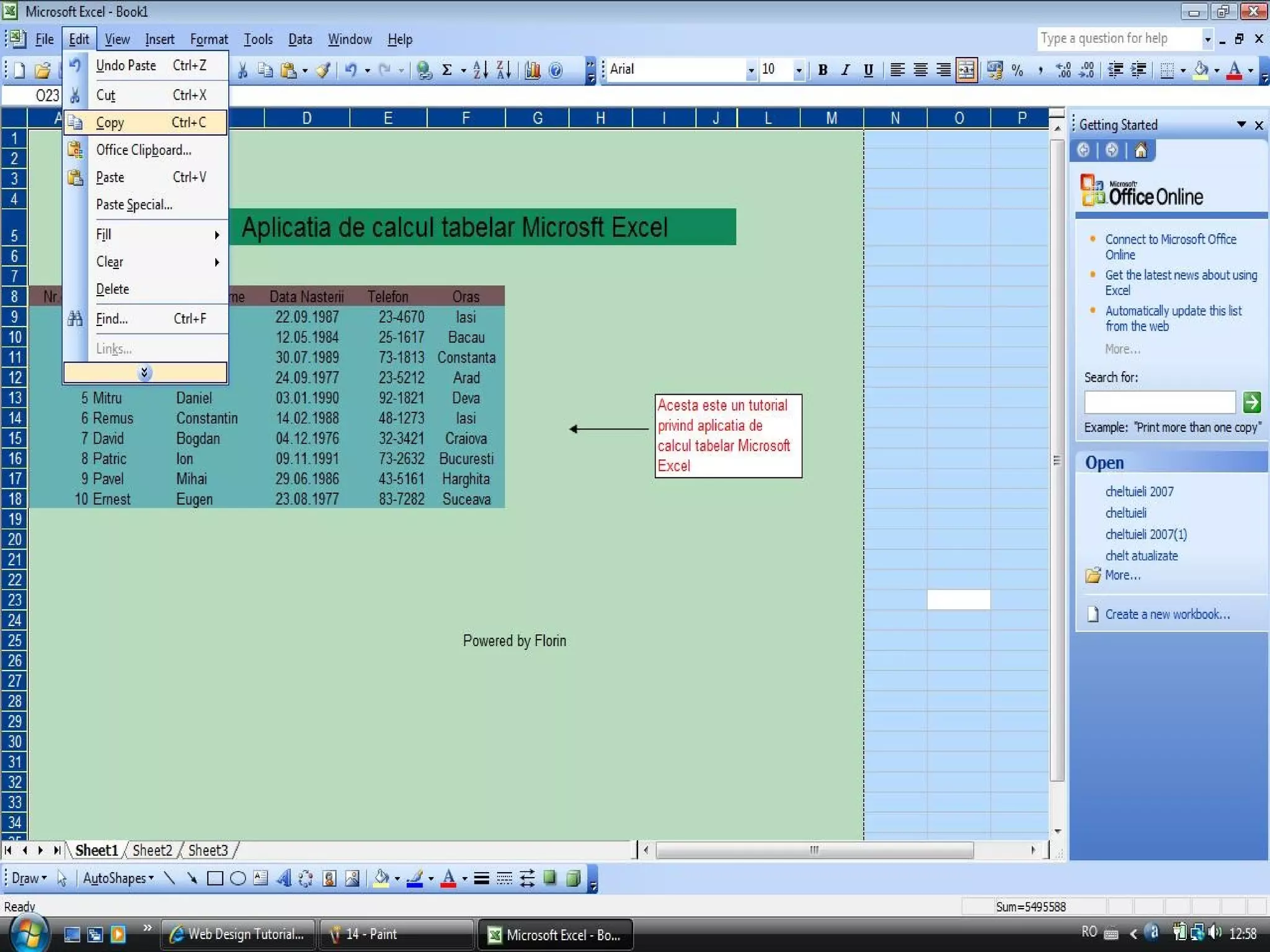 Aplicatia De Calcul Tabelar Microsoft Excel | PPS