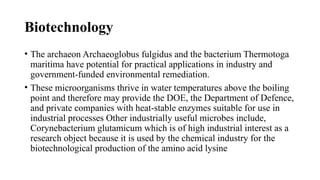 Biotechnology
• The archaeon Archaeoglobus fulgidus and the bacterium Thermotoga
maritima have potential for practical applications in industry and
government-funded environmental remediation.
• These microorganisms thrive in water temperatures above the boiling
point and therefore may provide the DOE, the Department of Defence,
and private companies with heat-stable enzymes suitable for use in
industrial processes Other industrially useful microbes include,
Corynebacterium glutamicum which is of high industrial interest as a
research object because it is used by the chemical industry for the
biotechnological production of the amino acid lysine
 