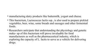 • manufacturing dairy products like buttermilk, yogurt and cheese.
• This bacterium, Lactococcus lactis ssp., is also used to prepare pickled
vegetables, beer, wine, some breads and sausages and other fermented
foods.
• Researchers anticipate that understanding the physiology and genetic
make- up of this bacterium will prove invaluable for food
manufacturers as well as the pharmaceutical industry, which is
exploring the capacity of L. lactis to serve as a vehicle for delivering
drugs.
 