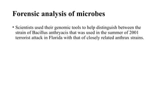 Forensic analysis of microbes
• Scientists used their genomic tools to help distinguish between the
strain of Bacillus anthryacis that was used in the summer of 2001
terrorist attack in Florida with that of closely related anthrax strains.
 