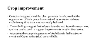 Crop improvement
• Comparative genetics of the plant genomes has shown that the
organisation of their genes has remained more conserved over
evolutionary time than was previously believed.
• These findings suggest that information obtained from the model crop
systems can be used to suggest improvements to other food crops.
• At present the complete genomes of Arabidopsis thaliana (water
cress) and Oryza sativa (rice) are available.
 