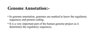 Genome Annotation:-
• In genome annotation, genomes are marked to know the regulatory
sequences and protein coding.
• It is a very important part of the human genome project as it
determines the regulatory sequences.
 