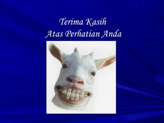 Terima Kasih
Atas Perhatian Anda
 