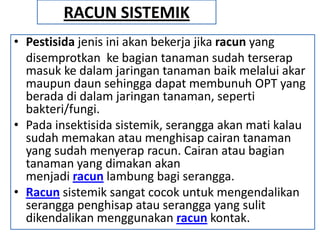 RACUN SISTEMIK
• Pestisida jenis ini akan bekerja jika racun yang
disemprotkan ke bagian tanaman sudah terserap
masuk ke dalam jaringan tanaman baik melalui akar
maupun daun sehingga dapat membunuh OPT yang
berada di dalam jaringan tanaman, seperti
bakteri/fungi.
• Pada insektisida sistemik, serangga akan mati kalau
sudah memakan atau menghisap cairan tanaman
yang sudah menyerap racun. Cairan atau bagian
tanaman yang dimakan akan
menjadi racun lambung bagi serangga.
• Racun sistemik sangat cocok untuk mengendalikan
serangga penghisap atau serangga yang sulit
dikendalikan menggunakan racun kontak.
 