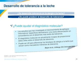 29Información confidencial y reservada de MJN
Desarrollo de tolerancia a la leche
¿Puede ayudar el diagnóstico molecular?
¿Se desarrolla tolerancia en la alergia a la leche?
¿Se puede predecir el desarrollo de tolerancia?
• Los estudios que han investigado el reconocimiento de epítopos 
'informativos' específicos demostraron una cierta diferenciación en 
concordancia con el desarrollo más tardío de tolerancia.
• El diagnóstico molecular es actualmente incapaz de proporcionar 
datos útiles sobre el desarrollo de tolerancia.
• Puede ser útil para diferenciar los fenotipos de alergia a la leche que 
actúan como marcadores indirectos de tolerancia.
Beyer et al, J Allergy Clin Immunol 2005
D’Urbano L y cols. Clinical & Experimental Allergy 2010.
Caubet JC y cols. JACI 2012.
 