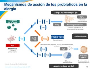 43Información confidencial y reservada de MJN
Mecanismos de acción de los probióticos en la 
alergia
Antígenos
de la leche
ATC
Th0
Th1
Th1
Th1
Th2
Th2
Th2
Treg
    
  
  
 
 
 
 
 
 
IL­10
TGß
PROBIÓTICOS
IFN­y
Tolerancia oral
Macrófagos activados
TNF­α
Histamina
TNF­α
IgE
Alergia mediada por IgE
Alergia no mediada por IgE
  
 
PROBIÓTICOS
Fármacos 
antidegradantes
Citocinas 
antiinflamatorias
Supresión activa
Aumentan la producción de 
inmunoglobulinas secretoras
Citocinas 
antiinflamatorias
Modulación de la respuesta Th1­Th2 hacia la tolerancia al 
antígeno
Desgranulación de 
mastocitos/basófilos
Crittenden RG, Bennett LE. J Am Coll Nutr 2005.
 