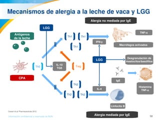 58Información confidencial y reservada de MJN
Mecanismos de alergia a la leche de vaca y LGG
Antígenos
de la leche
CPA
Th0
Th1
Th1
Th1
Th2
Th2
Th2
Treg
    
  
  
 
 
 
 
 
 
LGG
IL­10
TGß
LGG
IFN­y
IL­4
Desgranulación de
mastocitos/basófilos
Macrófagos activados
TNF­α
Histamina
TNF­α
Linfocito B
IgE
Alergia mediada por IgE
Alergia no mediada por IgE
  
 
Canani et al. Pharmaceuticals 2012.
 