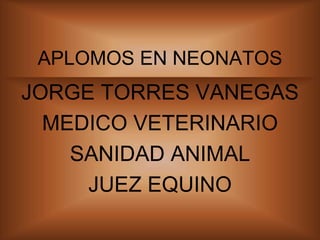 APLOMOS EN NEONATOS
JORGE TORRES VANEGAS
MEDICO VETERINARIO
SANIDAD ANIMAL
JUEZ EQUINO
 