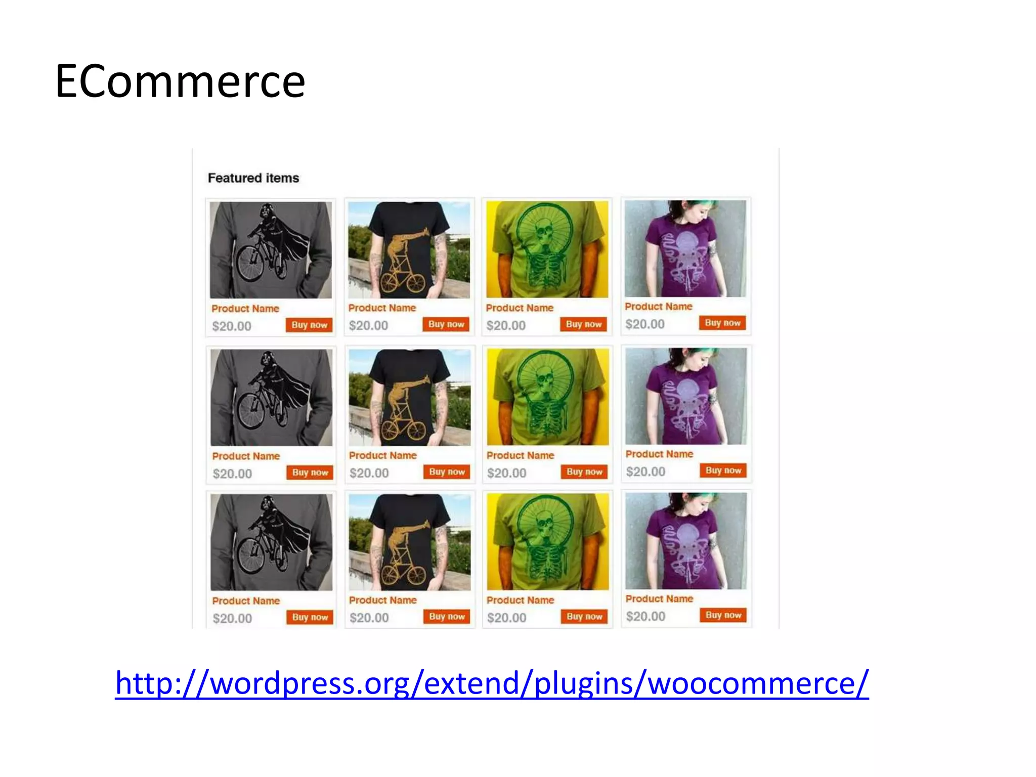 ECommerce




  http://wordpress.org/extend/plugins/woocommerce/
 