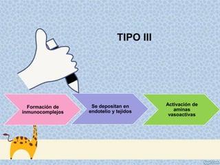 TIPO III
Formación de
inmunocomplejos
Se depositan en
endotelio y tejidos
Activación de
aminas
vasoactivas
 