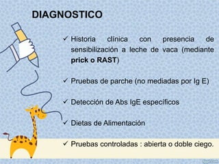  Historia clínica con presencia de
sensibilización a leche de vaca (mediante
prick o RAST)
 Pruebas de parche (no mediadas por Ig E)
 Detección de Abs IgE específicos
 Dietas de Alimentación
 Pruebas controladas : abierta o doble ciego.
DIAGNOSTICO
 