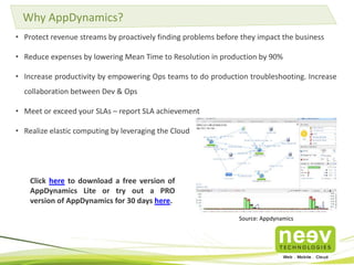 Neev Application Performance Management Services