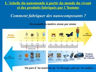 inalement, un des points fondamentaux de la maîtrise de la nanotechnologie est donc la création d'une machine de taille moléculaire, capable de se dupliquer elle-même…. ais aussi de fabriquer d'autres structures Cette machine est appelée " un assembleur " L ’échelle du nanomonde à partir du monde du vivant et des produits fabriqués par l ’homme Comment fabriquer des nanocomposants ? On assemble la matière atome par atome On part d ’un matériau qu ’on découpe, puis qu ’on sculpte,... 