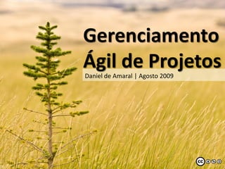 Gerenciamento
Ágil de Projetos
   ..
Daniel de Amaral | Agosto 2009
 