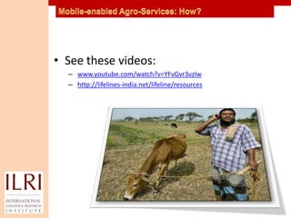 Mobile-enabled service delivery in livestock value chains: a new competence area for ILRI?