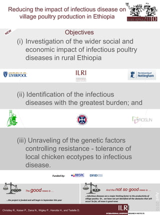 Reducing the impact of infectious disease on
        village poultry production in Ethiopia

   NE
     W
                                                                  Objectives
              (i) Investigation of the wider social and
                  economic impact of infectious poultry
                  diseases in rural Ethiopia




              (ii) Identification of the infectious
                   diseases with the greatest burden; and




              (iii) Unraveling of the genetic factors
                   controlling resistance - tolerance of
                   local chicken ecotypes to infectious
                   disease.
                                                    Funded by:         &




                       The   good news is …                                                       And the    not so good news is …
                                                                                                                                                          April 2010




                                                                           …infectious diseases are a major limiting factor to the productivity of 
                                                                           village poultry  Or… we have not yet identified all the obstacles that will 
   …the project is funded and will begin in September this year
                                                                           occur! So far, all news is good news



Christley R., Kaiser P., Dana N., Wigley P., Hanotte H., and Tadelle D.
 