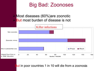 Livestock and human health: The good, the bad, the gaps