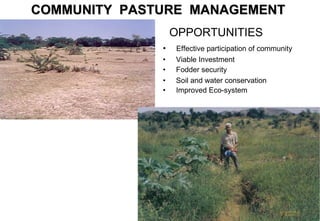 Livestock goods - Pathways out of poverty:  experiences from South Asia