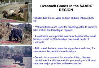 Livestock goods - Pathways out of poverty:  experiences from South Asia
